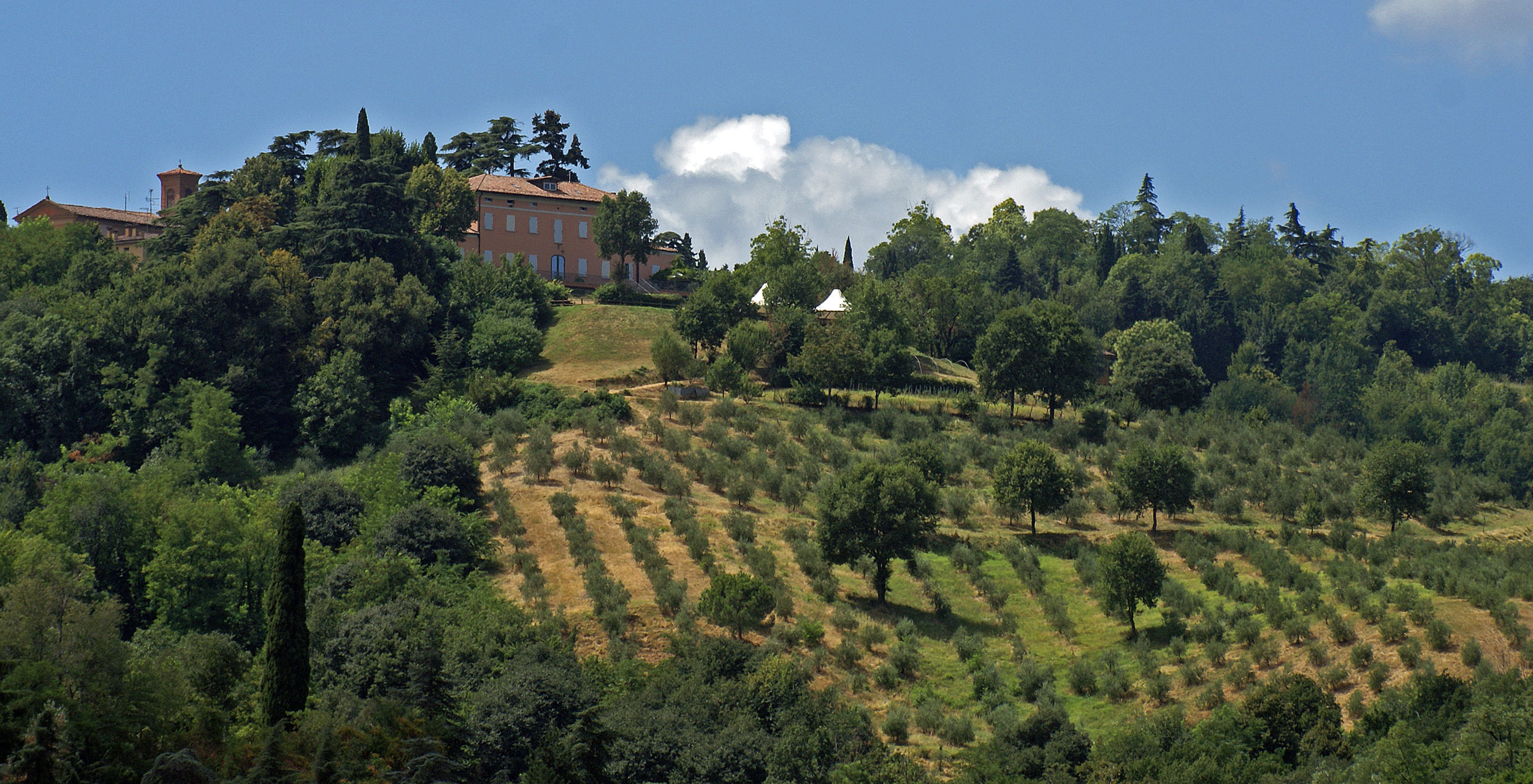 Azienda Agricola Ca' Scarani